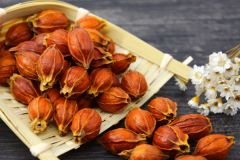 黃梔子上色穩(wěn)定性差怎么辦？
